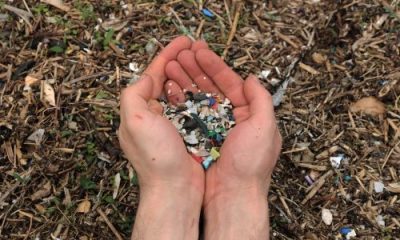 Environmental meditation